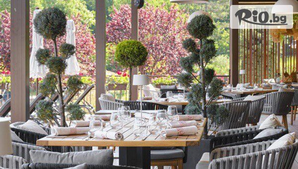 Хотел Вива Маре Бийч - thumb 5