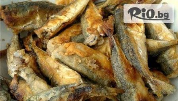 Пицария Патриарха - thumb 4