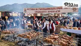 Карнавала на Старопланинската храна в П #1