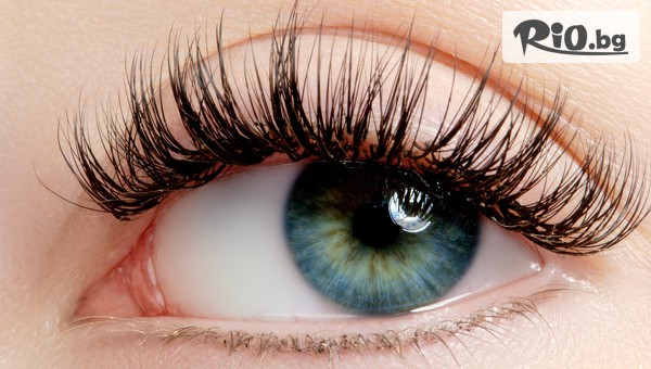 Malakova Lashes - thumb 3