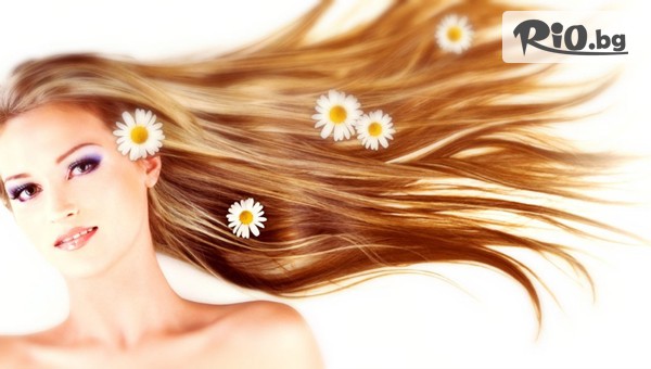 Fabio Salsa Forum - thumb 2