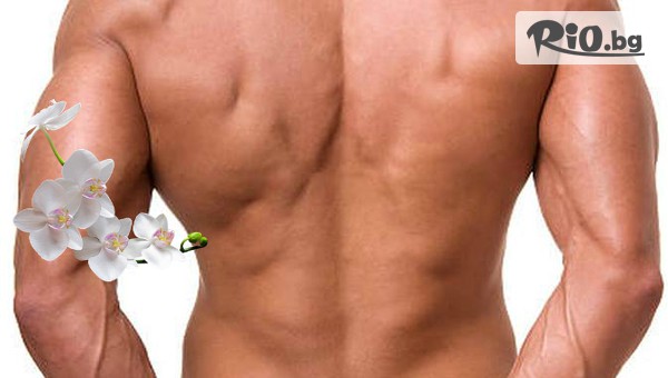 Салон Орхидея - thumb 2