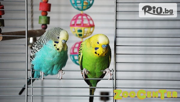 Зоомагазин ZooCenter - thumb 3