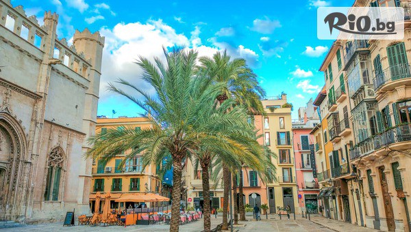 Солвекс - thumb 6