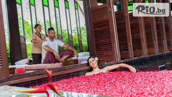 Далла Турс - thumb 7