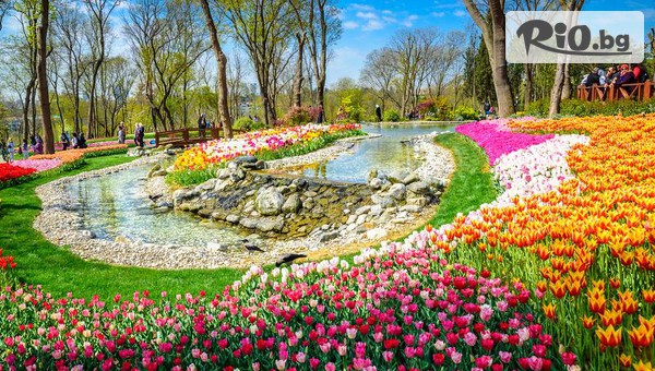 Джуанна Травел - thumb 2