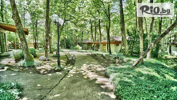 Вили Лотос - thumb 3