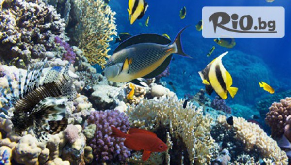 Водолазен център DUE - thumb 5