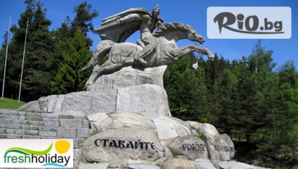 Freshholiday - thumb 2