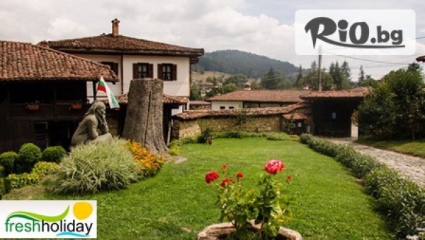 Freshholiday - thumb 3