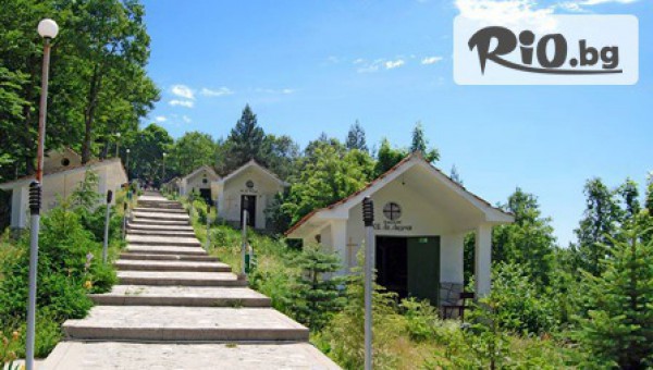 Дениз Травел - thumb 4