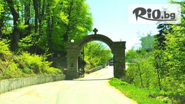 Дениз Травел - thumb 5