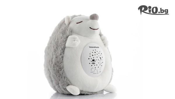 БИЛВЕД ЕООД - thumb 2