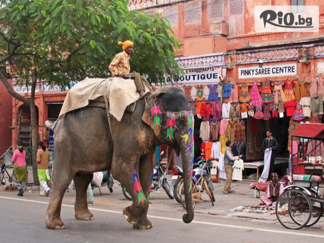 Премио Травел - thumb 7 Премио Травел - thumb 7