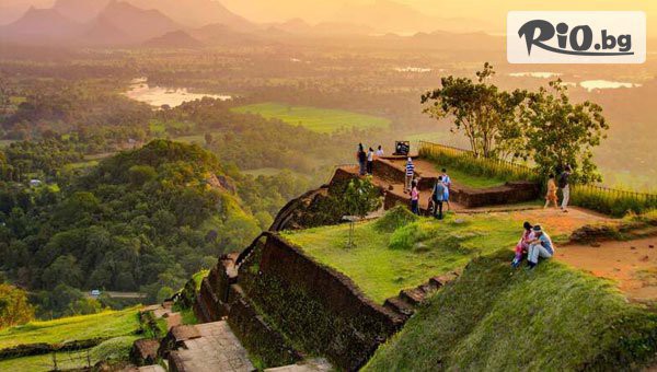 Арена Холидейз - thumb 19