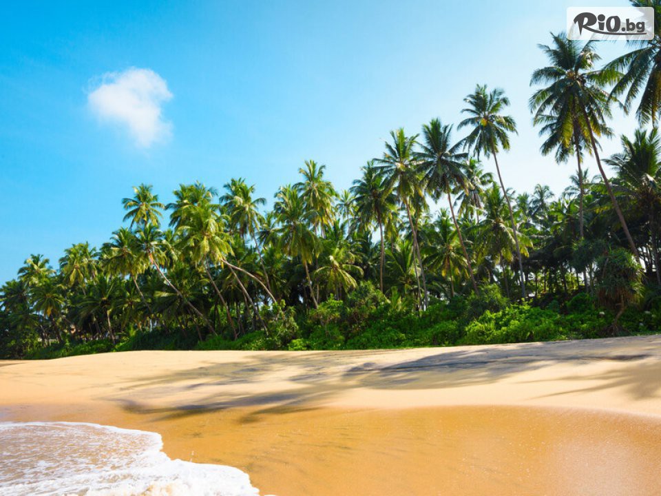 Арена Холидейз - thumb 30 Арена Холидейз - thumb 30