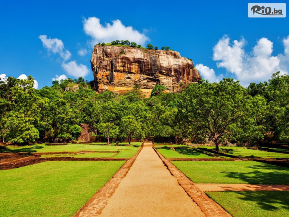 Арена Холидейз - thumb 31 Арена Холидейз - thumb 31