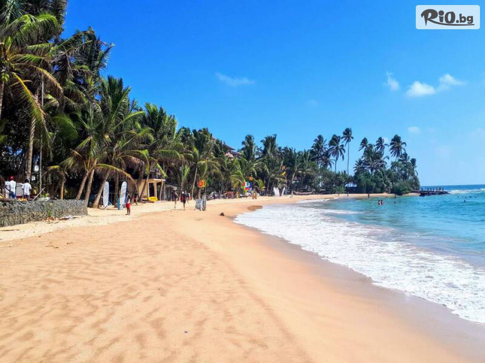 Арена Холидейз - thumb 32 Арена Холидейз - thumb 32