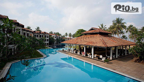 Арена Холидейз - thumb 3