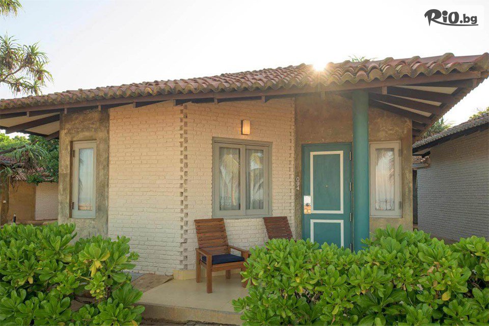 Арена Холидейз - thumb 5 Арена Холидейз - thumb 5