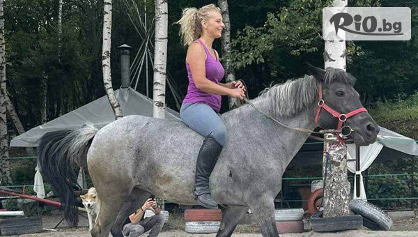 Конна база София - Юг - thumb 5