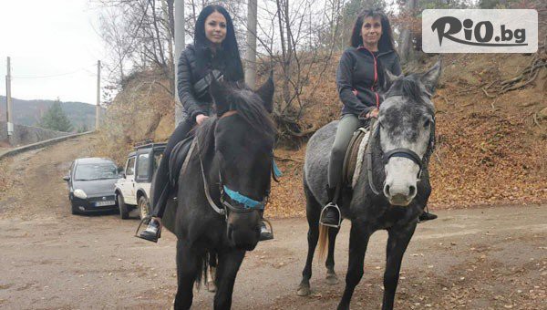 Конна база София - Юг - thumb 6