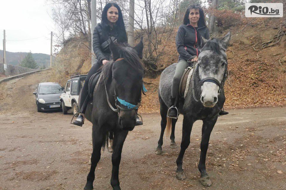 Конна база София - Юг - thumb 2 Конна база София - Юг - thumb 2