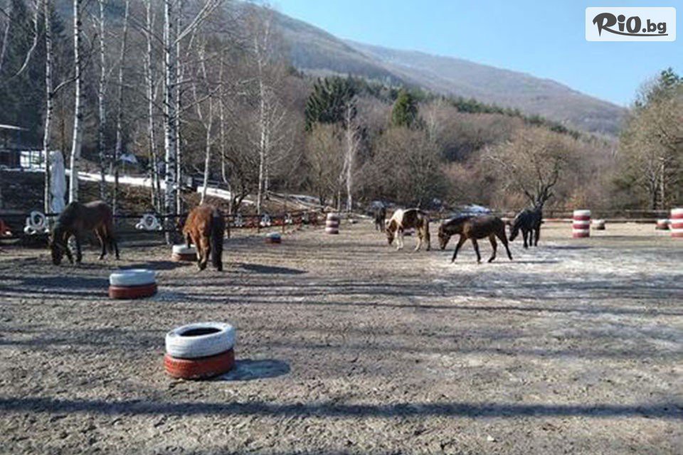 Конна база София - Юг - thumb 5 Конна база София - Юг - thumb 5