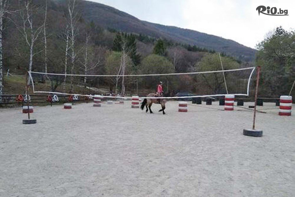 Конна база София - Юг - thumb 7 Конна база София - Юг - thumb 7