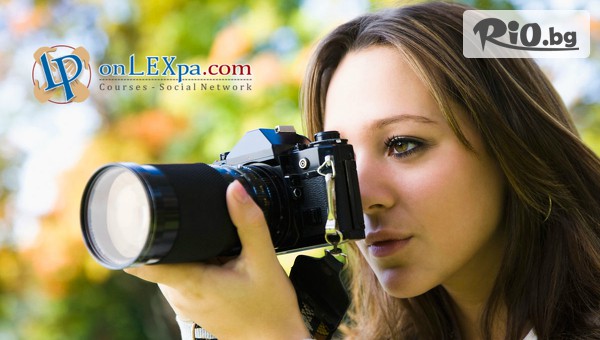 Lex Partners - thumb 2