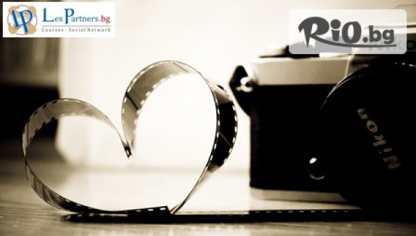 Lex Partners - thumb 3