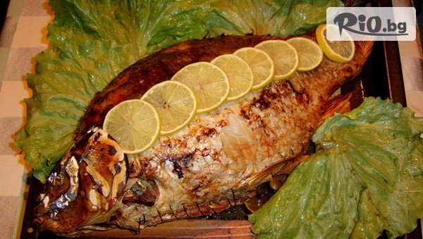 Вкусна рибка за Никулден! Пълнен шаран 1.500 кг със свежа салата за вкъщи или на място, от  Ресторант Орфей