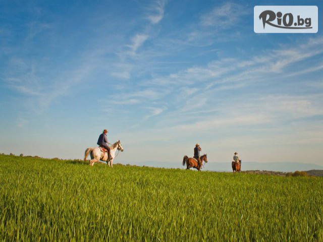 Конна база Ездул - thumb 6 Конна база Ездул - thumb 6