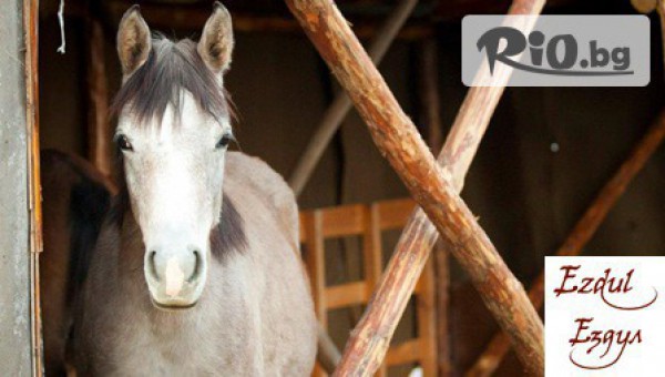 Конна база Ездул - thumb 4