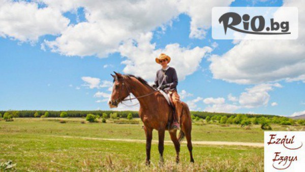 Конна база Ездул - thumb 3