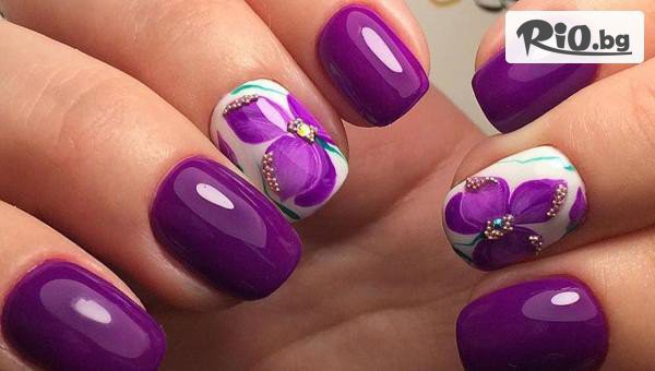 The Beauty project - thumb 3