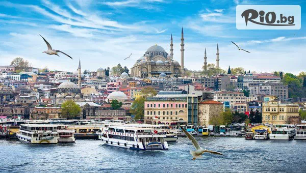 Джуанна Травел - thumb 6