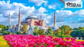 Фестивал на лалето в Истанбул #1