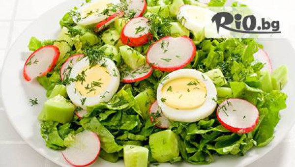 Cycle Bar & Dinner - thumb 2