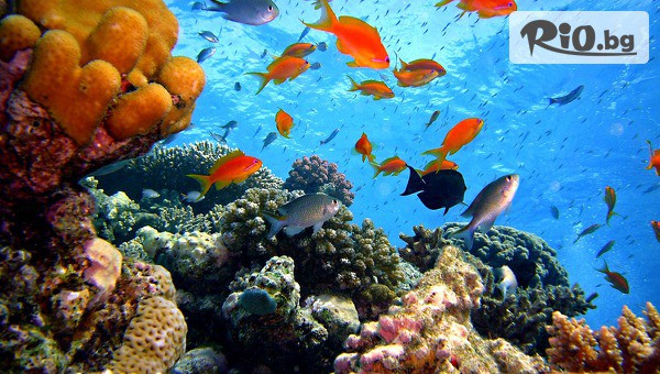 Mistral Travel & Events - thumb 4