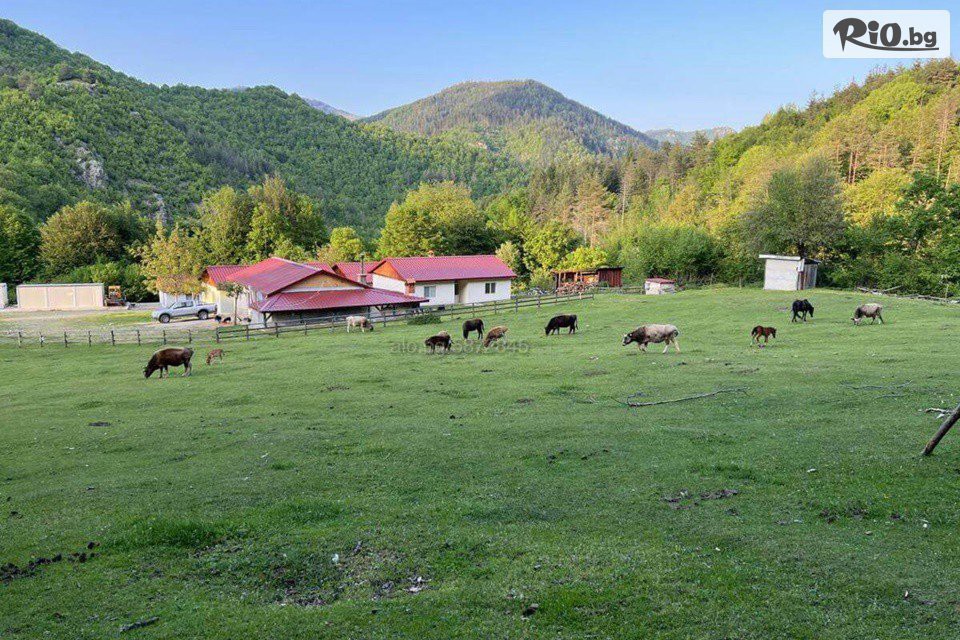 Ранчо Канарата - thumb 3 Ранчо Канарата - thumb 3