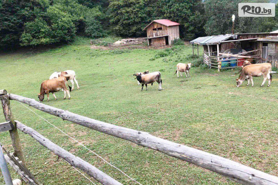 Ранчо Канарата - thumb 5 Ранчо Канарата - thumb 5