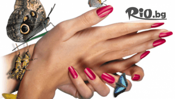 студио Лабиринт - thumb 2