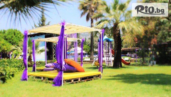 Golden Voyages - thumb 3