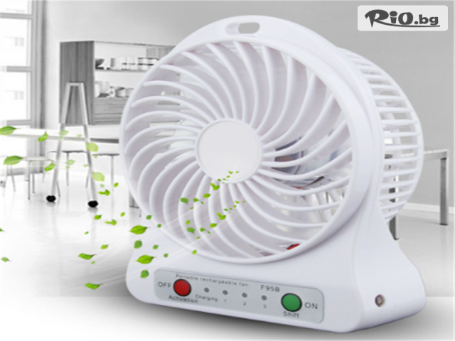 Svito Shop - thumb 3 Svito Shop - thumb 3