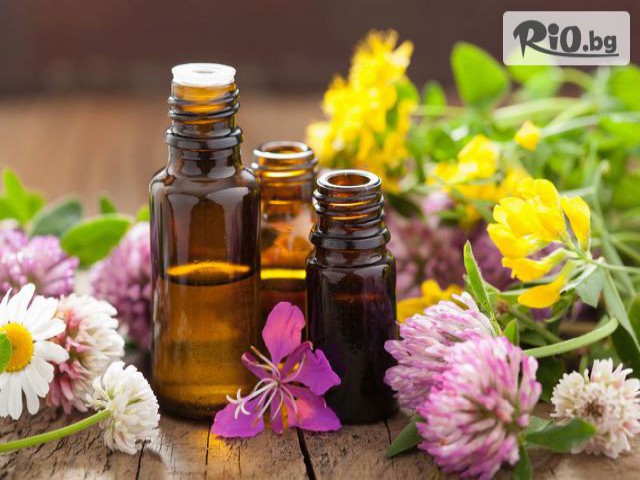 Elite Massage - thumb 2