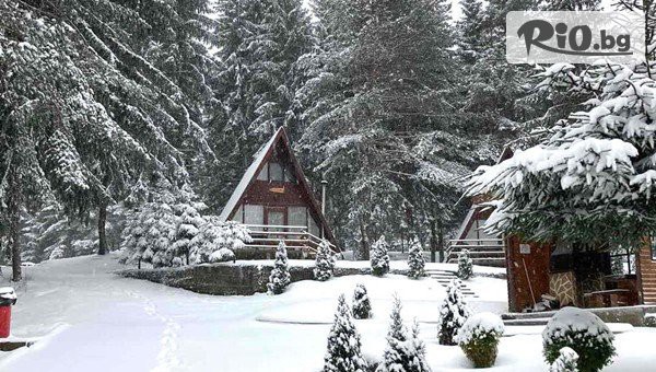 Почивка във Ваканционно селище Ива, Сърница! Нощувка за до 6 човека във вили Ела, Бук, Дъб или Явор с веранда