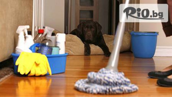 Home Cleaning - thumb 2