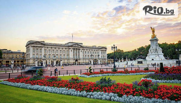 Арена Холидейз - thumb 4