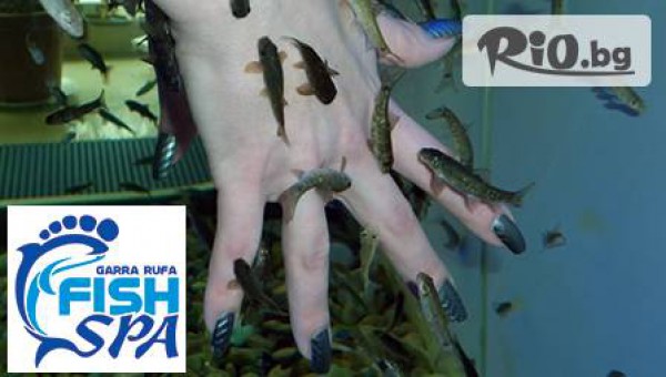 "Garra Rufa Fish Spa Salon Варна" - thumb 4